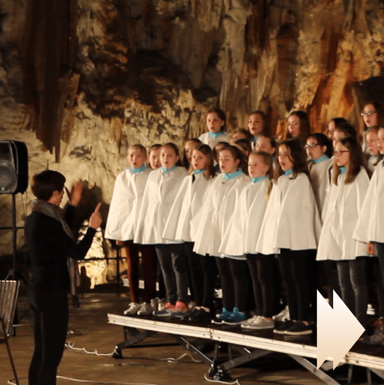 We Are Singing Vienna