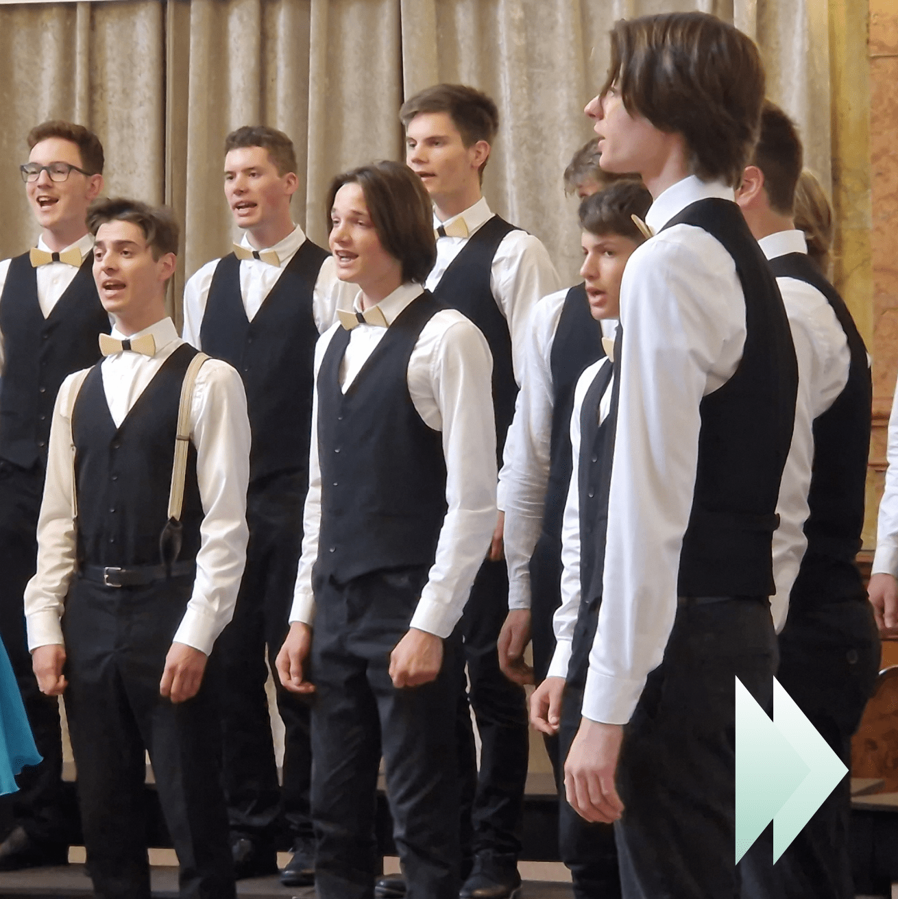 We Are Singing Vienna